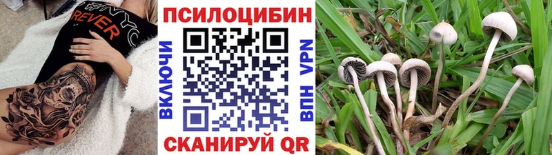 Псилоцибиновые грибы мухоморы  блэк спрут ссылка  Белинский  что такое  